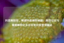 抖音刷粉丝，解锁抖音刷粉秘籍，高效引流与策略解析亿乐社区低价自营货源站