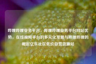 哔哩哔哩业务平台，哔哩哔哩业务平台网站优势，在线视频平台的多元化发展与哔哩哔哩的崛起亿乐社区低价自营货源站