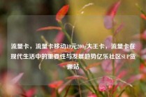 流量卡，流量卡移动19元200g大王卡，流量卡在现代生活中的重要性与发展趋势亿乐社区SUP货源站