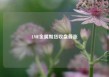 LME金属期货收盘普涨