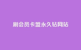 刷会员卡盟永久钻网站 - 永久钻刷会员卡盟网站：畅享会员特权，提高网站排名~