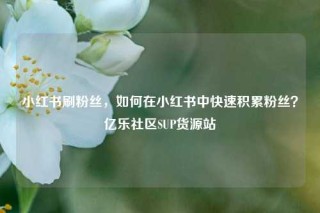 小红书刷粉丝，如何在小红书中快速积累粉丝？亿乐社区SUP货源站