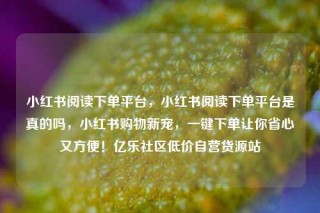 小红书阅读下单平台，小红书阅读下单平台是真的吗，小红书购物新宠，一键下单让你省心又方便！亿乐社区低价自营货源站