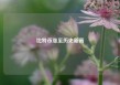 比特币涨至历史新高