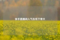 快手直播间人气在线下单大