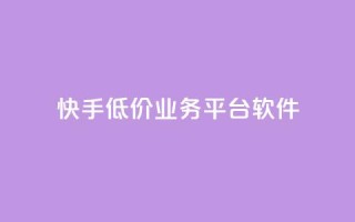 快手低价业务平台软件 - ks丝1元100