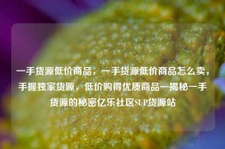 一手货源低价商品，一手货源低价商品怎么卖，手握独家货源，低价购得优质商品—揭秘一手货源的秘密亿乐社区SUP货源站