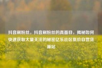 抖音刷粉丝，抖音刷粉丝的真面目，揭秘如何快速获取大量关注的秘密亿乐社区低价自营货源站