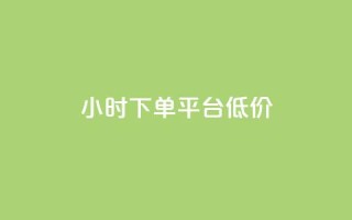 ks24小时下单平台低价,qq说说赞在线业务下单 - 94767.cn - qq刷访客软件手机版下载
