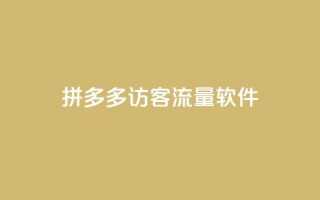 拼多多访客流量软件 - 拼多多流量增加神器，提升访客量~