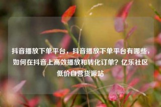 抖音播放下单平台，抖音播放下单平台有哪些，如何在抖音上高效播放和转化订单？亿乐社区低价自营货源站