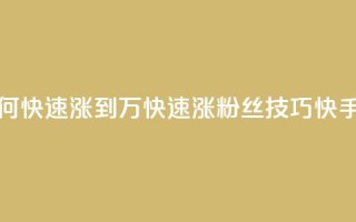 快手粉丝如何快速涨到1万(快速涨粉丝技巧，快手1万粉丝攻略)