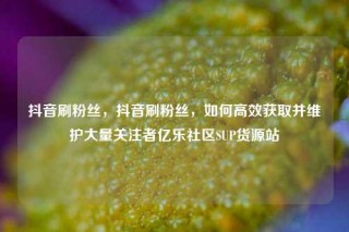 抖音刷粉丝，抖音刷粉丝，如何高效获取并维护大量关注者亿乐社区SUP货源站