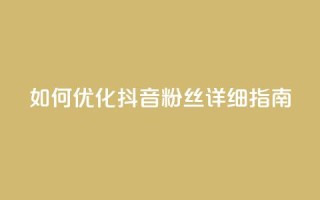 如何优化抖音粉丝？详细指南