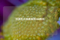 抖音怎么快速涨到1000粉丝