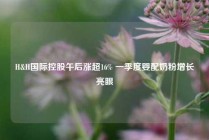 H&H国际控股午后涨超16% 一季度婴配奶粉增长亮眼