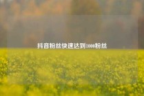 抖音粉丝快速达到1000粉丝
