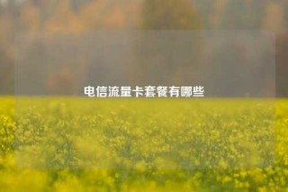 电信流量卡套餐有哪些