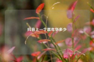 抖音上一个嘉年华多少