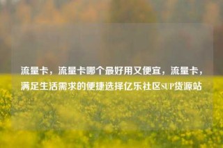 流量卡，流量卡哪个最好用又便宜，流量卡，满足生活需求的便捷选择亿乐社区SUP货源站