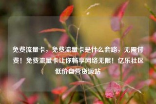 免费流量卡，免费流量卡是什么套路，无需付费！免费流量卡让你畅享网络无限！亿乐社区低价自营货源站