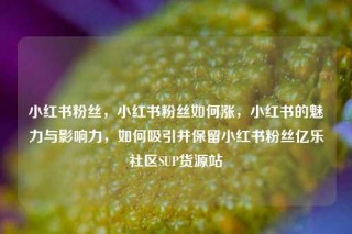 小红书粉丝，小红书粉丝如何涨，小红书的魅力与影响力，如何吸引并保留小红书粉丝亿乐社区SUP货源站