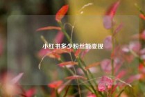 小红书多少粉丝能变现