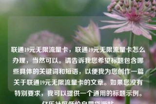 联通19元无限流量卡，联通19元无限流量卡怎么办理，当然可以。请告诉我您希望标题包含哪些具体的关键词和短语，以便我为您创作一篇关于联通19元无限流量卡的文章。如果您没有特别要求，我可以提供一个通用的标题示例。亿乐社区低价自营货源站