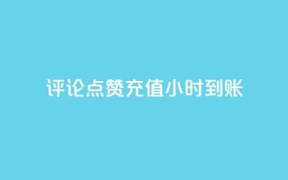 dy评论点赞充值24小时到账,抖音业务低价自助平台超低价 - 网红助手的app特色 - 抖音点赞软件