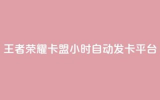 王者荣耀卡盟24小时自动发卡平台 - QQ空间秒工具下载
