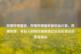 哔哩哔哩播放，哔哩哔哩播放量收益计算，哔哩哔哩，年轻人的娱乐新阵地亿乐社区低价自营货源站