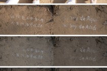 科学与艺术的跨界对话可能吗？——评“以蚁为序的生命网络”
