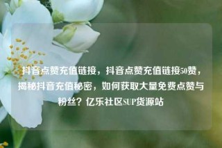 抖音点赞充值链接，抖音点赞充值链接50赞，揭秘抖音充值秘密，如何获取大量免费点赞与粉丝？亿乐社区SUP货源站