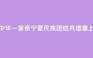 【铸牢共同体 中华一家亲】宁夏：民族团结 共谱塞上江南新篇章