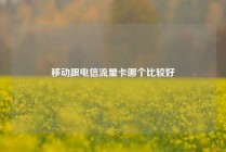 移动跟电信流量卡哪个比较好