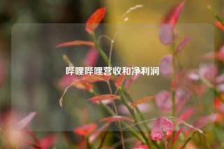 哔哩哔哩营收和净利润