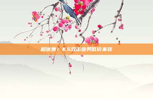 超优惠！KS双击业务低价来袭  第1张