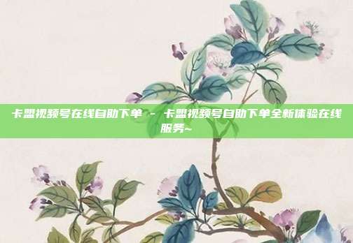 卡盟视频号在线自助下单 - 卡盟视频号自助下单全新体验在线服务~  第1张