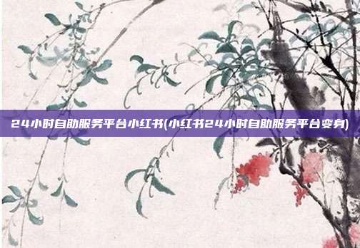 24小时自助服务平台小红书(小红书24小时自助服务平台变身)  第1张