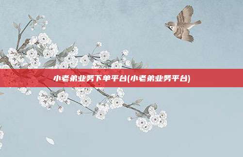 小老弟业务下单平台(小老弟业务平台)  第1张
