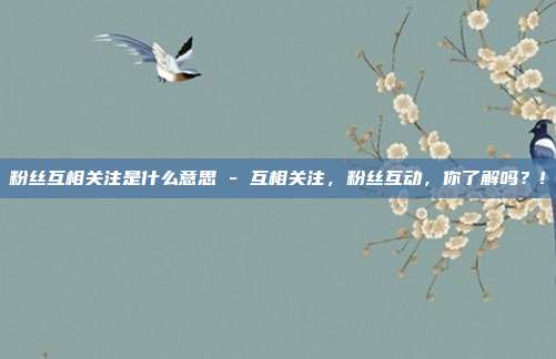 粉丝互相关注是什么意思 - 互相关注，粉丝互动，你了解吗？!  第1张