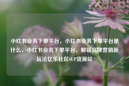 小红书业务下单平台，小红书业务下单平台是什么	，小红书业务下单平台，解锁品牌营销新玩法亿乐社区SUP货源站  第1张