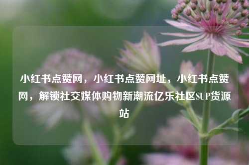 小红书点赞网	，小红书点赞网址，小红书点赞网，解锁社交媒体购物新潮流亿乐社区SUP货源站  第1张