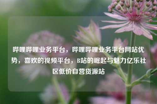 哔哩哔哩业务平台	，哔哩哔哩业务平台网站优势，喜欢的视频平台，B站的崛起与魅力亿乐社区低价自营货源站  第1张