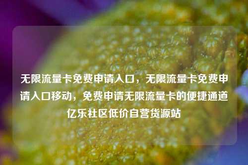 无限流量卡免费申请入口，无限流量卡免费申请入口移动	，免费申请无限流量卡的便捷通道亿乐社区低价自营货源站  第1张