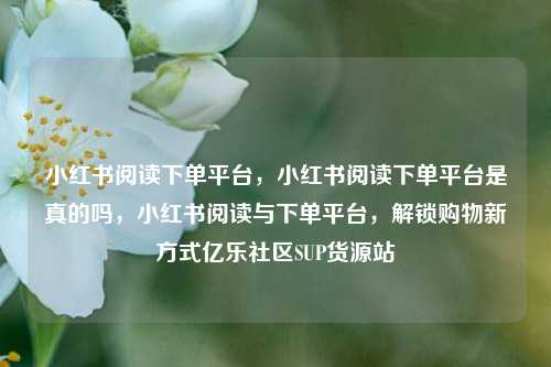 小红书阅读下单平台	，小红书阅读下单平台是真的吗，小红书阅读与下单平台，解锁购物新方式亿乐社区SUP货源站  第1张
