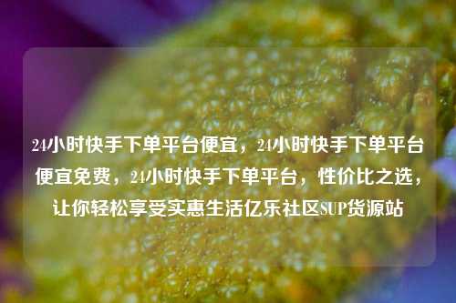 24小时快手下单平台便宜，24小时快手下单平台便宜免费，24小时快手下单平台，性价比之选	，让你轻松享受实惠生活亿乐社区SUP货源站  第1张