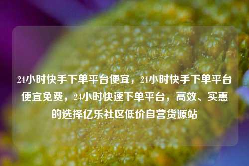 24小时快手下单平台便宜	，24小时快手下单平台便宜免费，24小时快速下单平台，高效、实惠的选择亿乐社区低价自营货源站  第1张
