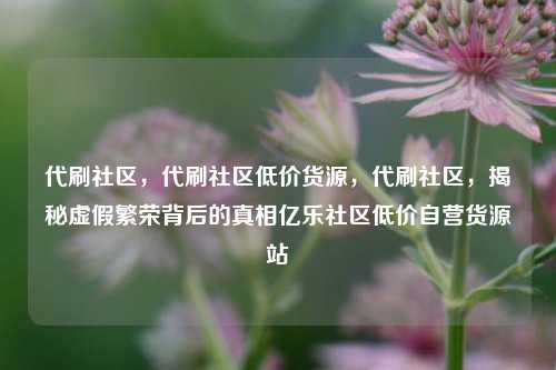 代刷社区，代刷社区低价货源，代刷社区	，揭秘虚假繁荣背后的真相亿乐社区低价自营货源站  第1张