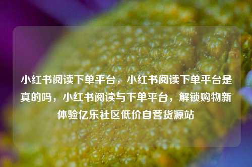 小红书阅读下单平台，小红书阅读下单平台是真的吗	，小红书阅读与下单平台，解锁购物新体验亿乐社区低价自营货源站  第1张